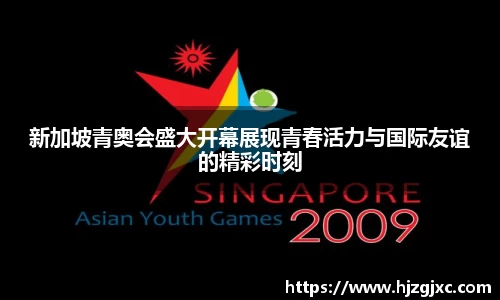 新加坡青奥会盛大开幕展现青春活力与国际友谊的精彩时刻